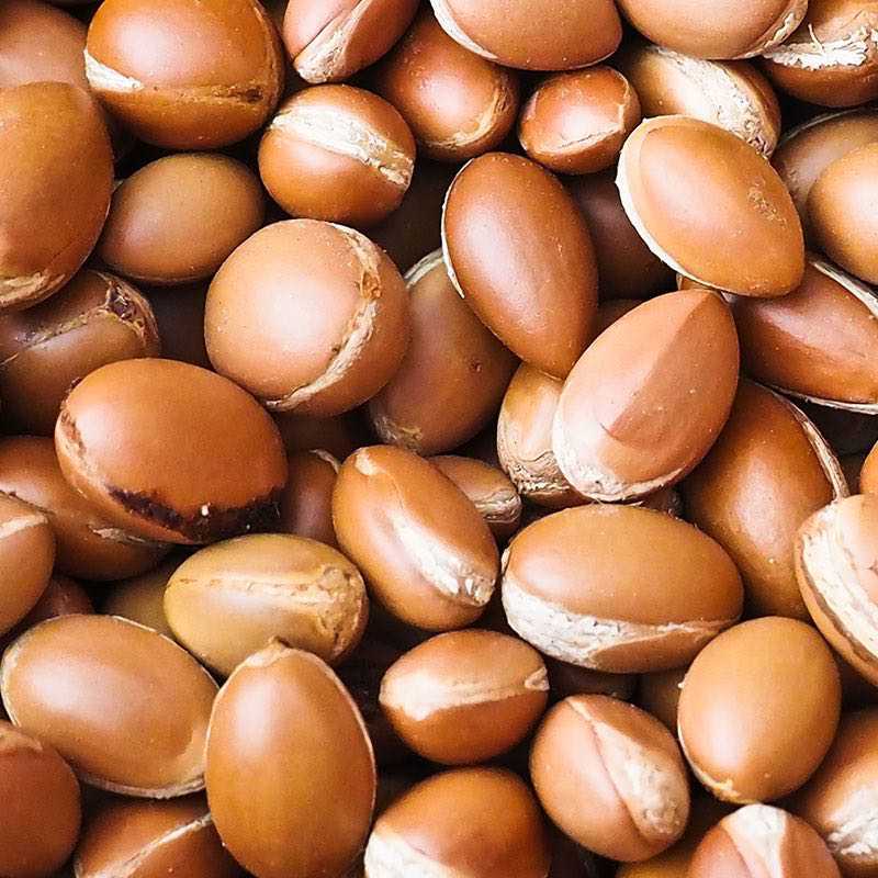 100% Natural Skincare and Makeup hero ingredient - Argan Oil - Rejuvenates the skin | Certified Vegan and Cruelty-Free | INIKA Organic